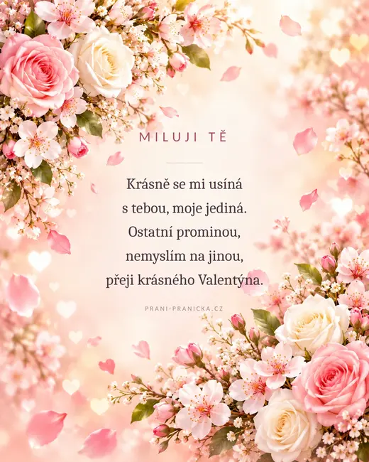 Krásně se mi usíná — valentýnské přání, růžové růže a třešňové květy s padajícími okvětními lístky