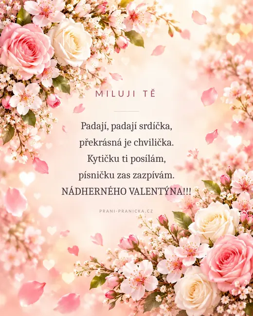 Padají, padají srdíčka — valentýnské přání, růžové růže a třešňové květy s padajícími okvětními lístky