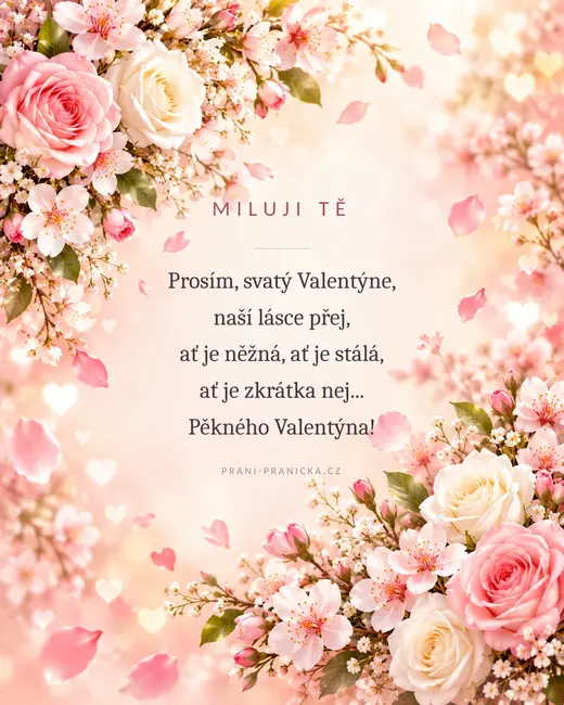 Prosím, svatý Valentýne — valentýnské přání, růžové růže a třešňové květy s padajícími okvětními lístky