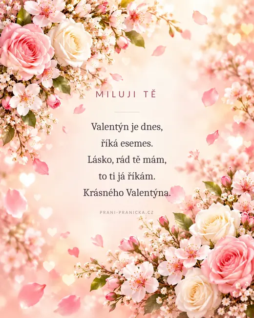 Valentýn je dnes — valentýnské přání, růžové růže a třešňové květy s padajícími okvětními lístky
